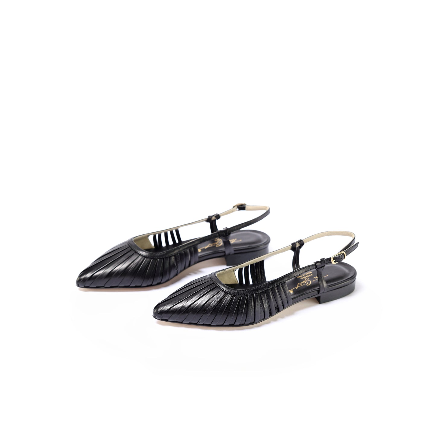 Beautiful Blue Ballerina